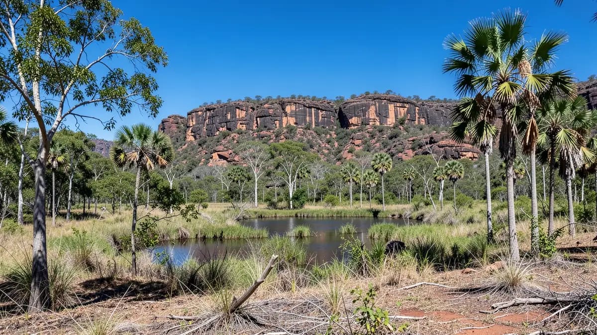 Kakadu National Park (Overview)