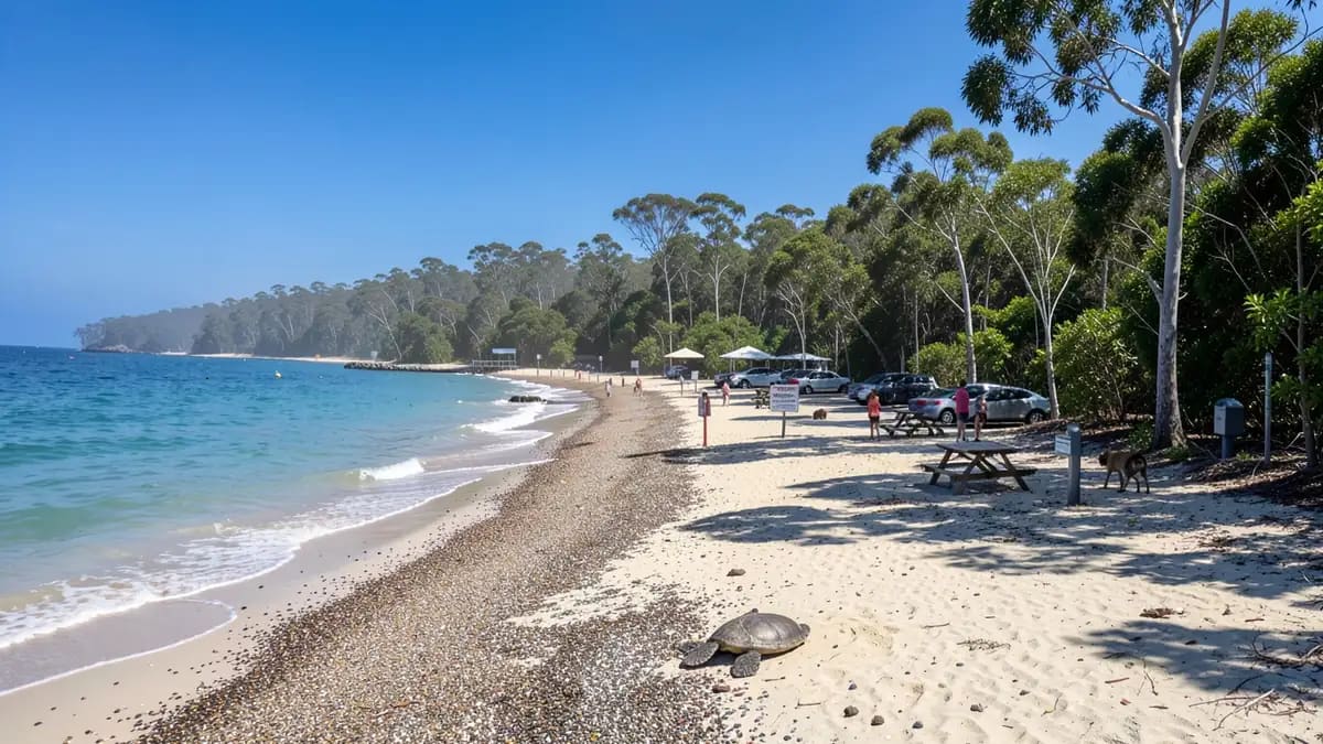 Lee Point Beach