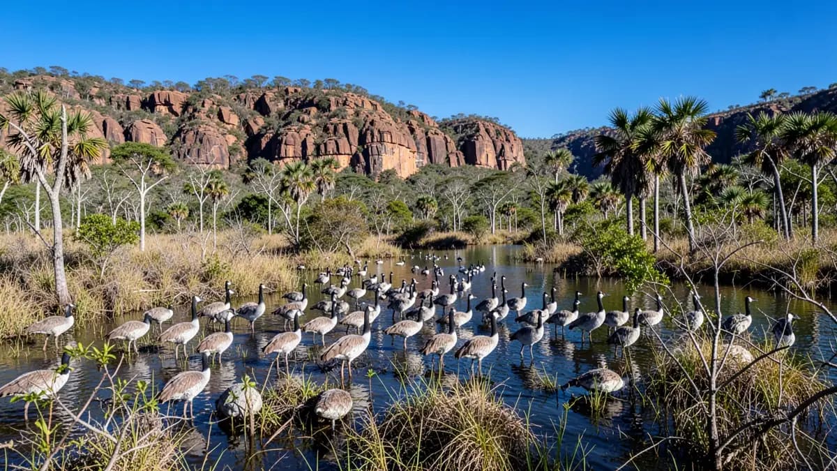 Mamukala Wetlands