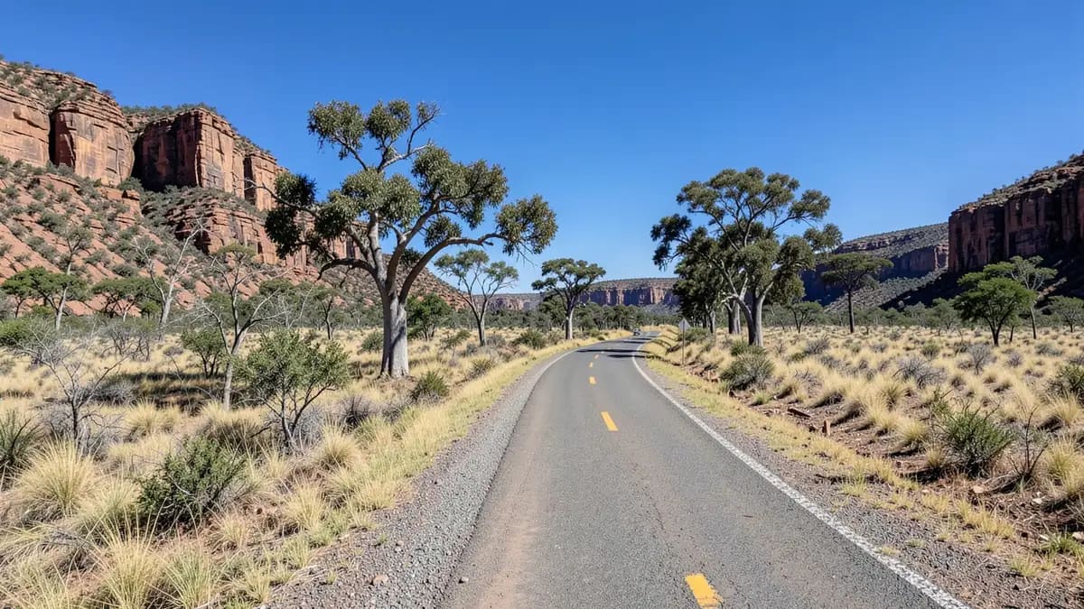 Victoria Highway Scenic Drive